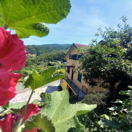 La Valle Fiorita Soviore Εξωτερικό φωτογραφία
