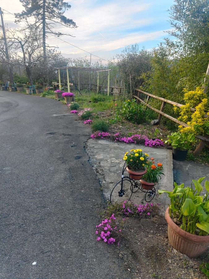 La Valle Fiorita Soviore Εξωτερικό φωτογραφία