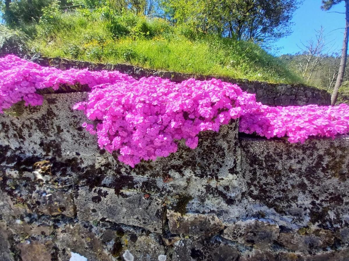 La Valle Fiorita Soviore Εξωτερικό φωτογραφία