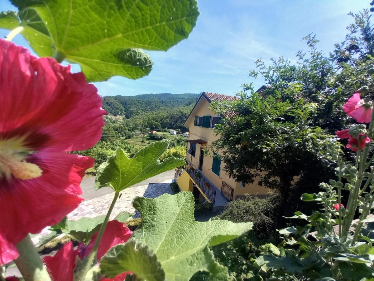 La Valle Fiorita Soviore Εξωτερικό φωτογραφία
