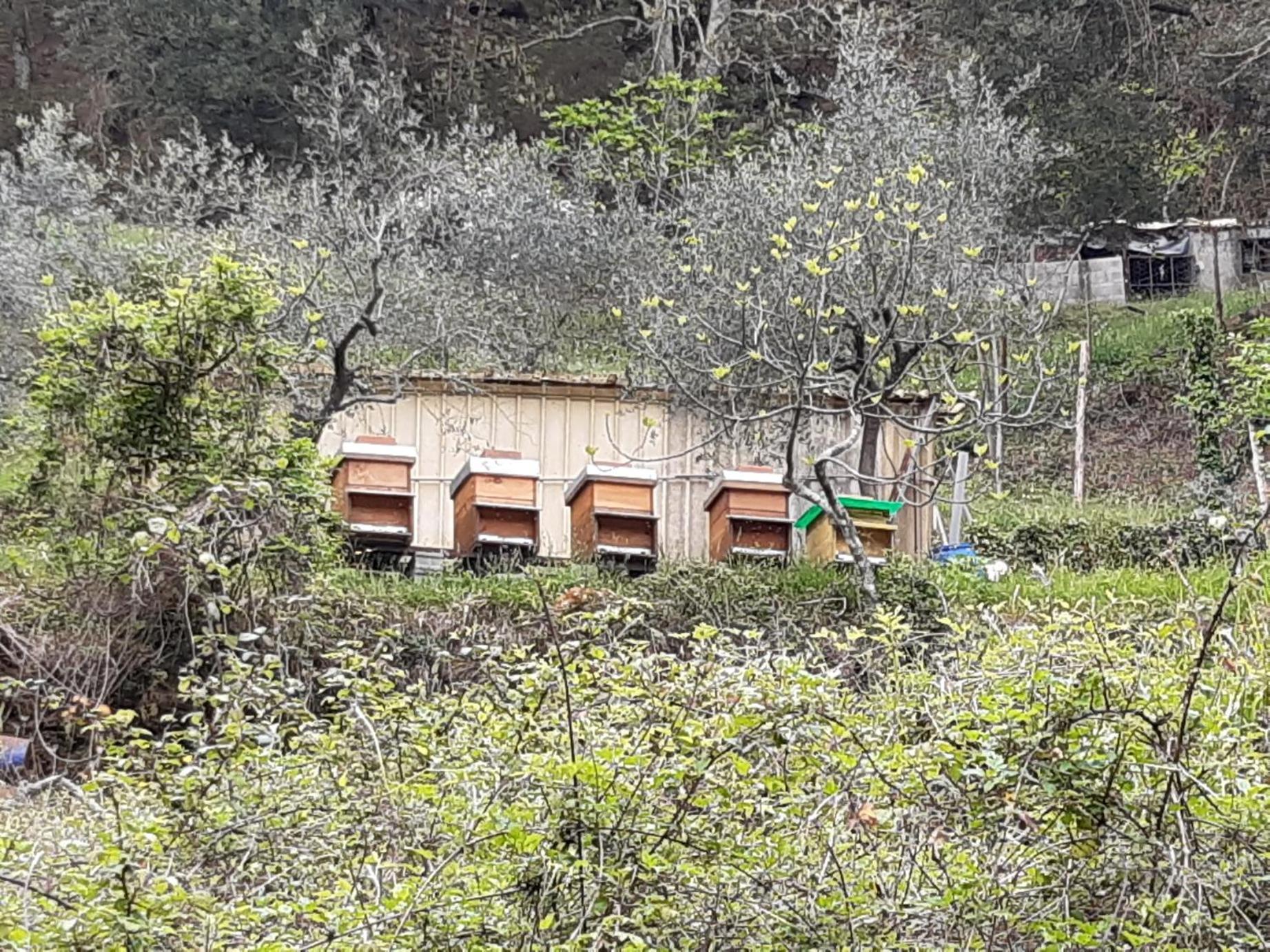 La Valle Fiorita Soviore Εξωτερικό φωτογραφία